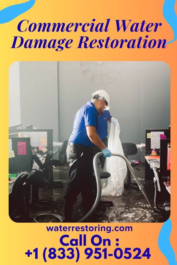 Commercial Water Damage Restoration in Baudette, MN