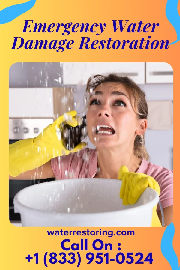 Emergency Water Damage Restoration in Baudette, MN