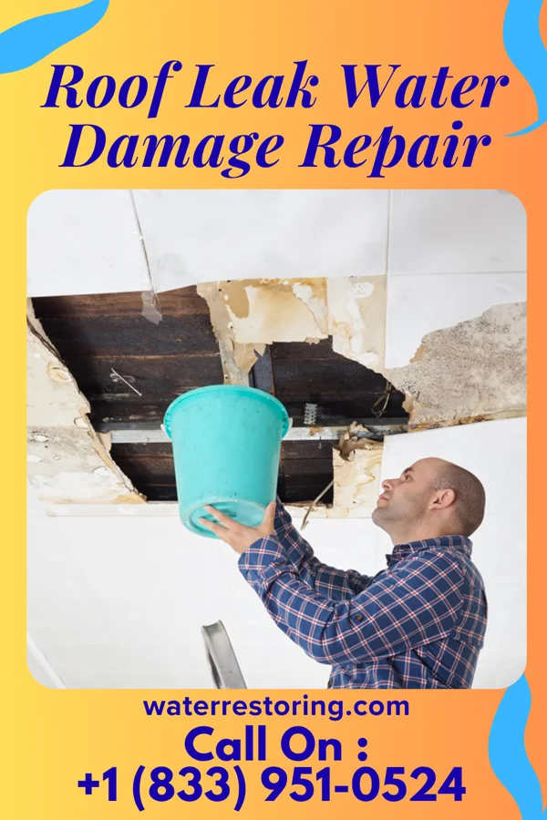 Roof Leak Water Damage Repair in Baudette, MN