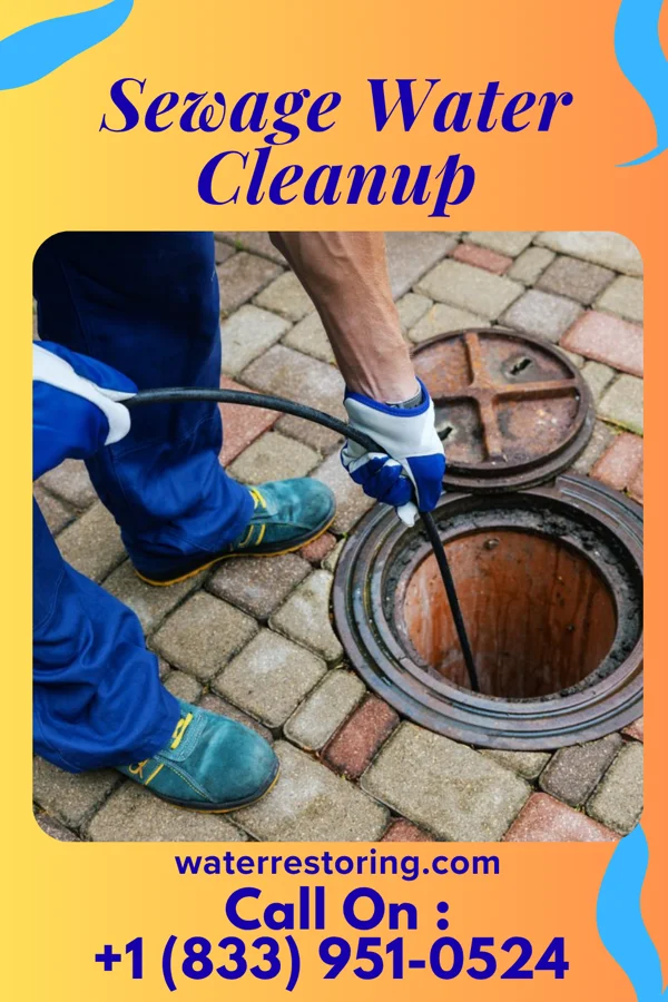 Sewage Water Cleanup in Baudette, MN